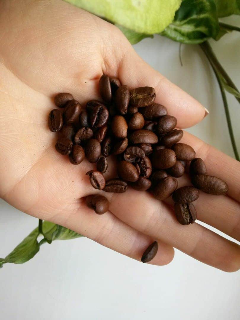 Обзор на вьетнамский кофе в зернах Arabica Classic