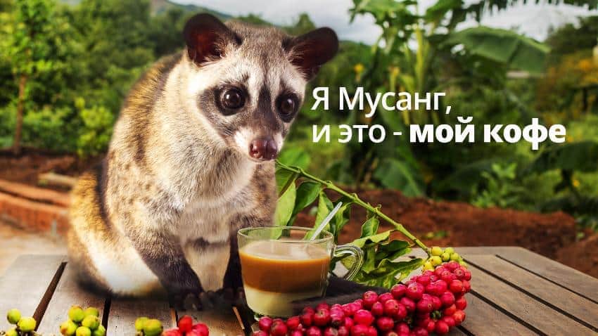 Кофе только для ценителей
