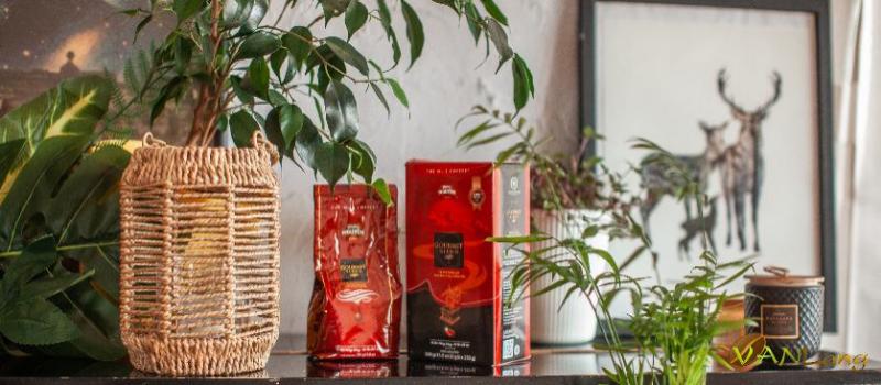 Благородный шоколадный кофе для гурманов. Обзор Trung Nguyen Gourmet Blend