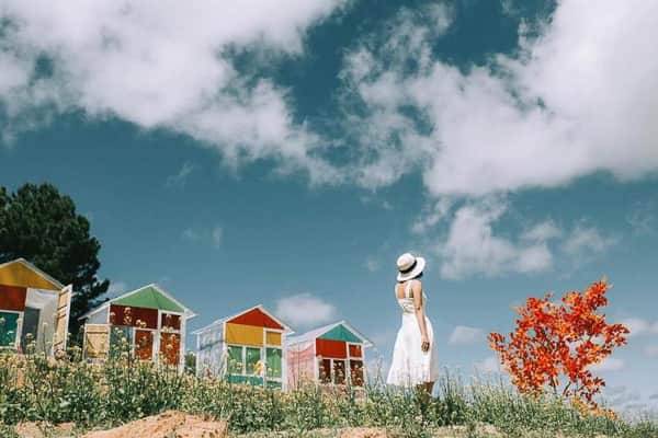 da-lat-sunny-farm-low.jpg Солнечная ферма в Далате