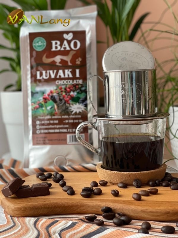 Chocolate Luvak I Bao Chocolate Luvak I Bao