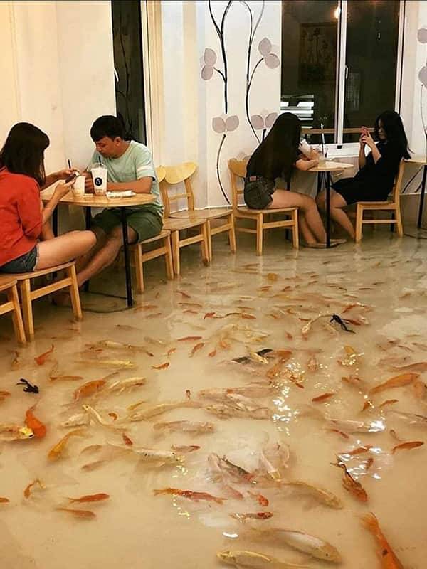 кафе с аквариумом кафе с аквариумом