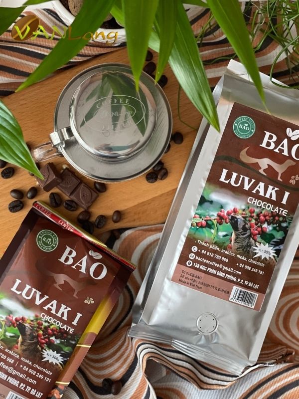 Chocolate Luvak I Bao Chocolate Luvak I Bao